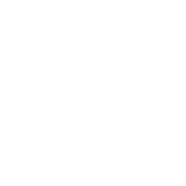 plein.nl logo